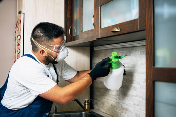 Best Pest Prevention Services  in Brandywine Bay, NC