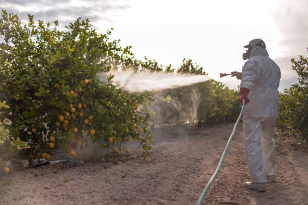 Best Residential Pest Control  in Brandywine Bay, NC