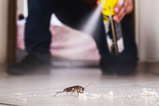 Professional Pest Control in Brandywine Bay, NC