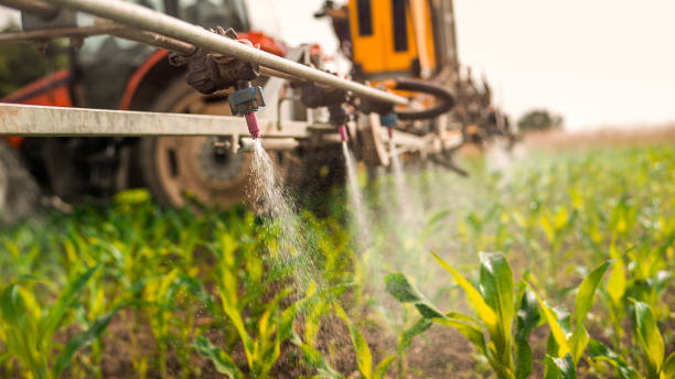Best Ant Control Services  in Brandywine Bay, NC